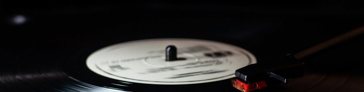 Er Vinyl Uddød?